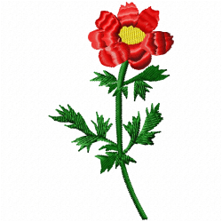 Flowers Embroidery Design 5 Flowers Embroidery Design 5